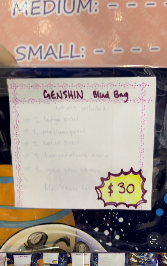 Genshin Blind Bag (large)